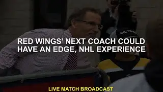 Red Wings' next coach may have an edge, NHL experience