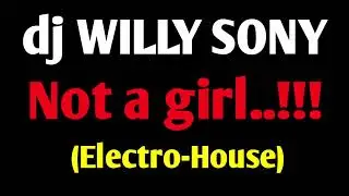 Not a girl (Electro-House) | dj Willy Sony