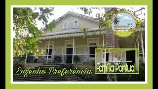 ENGENHO PREFER&Ecirc;NCIA, PRIMAVERA - PE #engenho #nordeste #casar&otilde;es