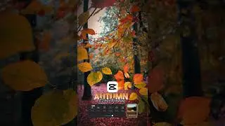How to Capcut Colour Grading in Autumn 🍂 #capcut #shorts