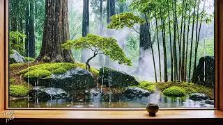 Remove All Negative Energy | 528Hz Reiki Healing Music & Rain Sounds | Aura Cleansing