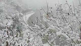 Shimla district receives fresh snow, more prediction for tomorrow