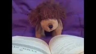 Shooting Star~WMV~ .:*HAPPY BIRTHDAY BROWNDOG341!*:.