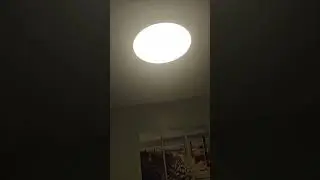 Lights On!! Ib: @StarlaAndNoobie #lightson #trending #viral #shorts