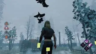 Hilarious Trolling on Ormond Rock Glitch in Dead by Daylight History