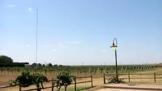 Llano Estacado Winery -- Lubbock, Texas