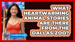What Heartwarming Animal Stories Are There From The Dallas Zoo? - Everything About Dallas