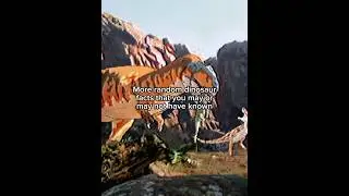 Some more random dinosaur facts you may not know #prehistoric #dinosaur