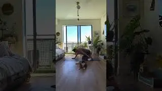 Simple yoga flow to start the day.