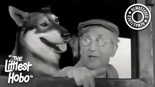 Honor Ranch | The Littlest Hobo (1963) | S1E7 | Remastered