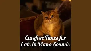 Playful Feline Fugue