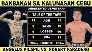 UNDEFEATED PITBULL OF CEBU VS VETERAN! ANGELUS PILAPIL vs ROBERT PARADERO | ARQ Boxing Engkwentro