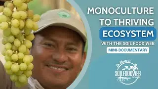 From Desert to Abundance: Overcoming Monoculture Challenges | Soil Food Web School Documentary
