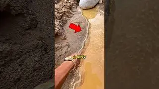 Он нашел золото в грязной реке #шорты