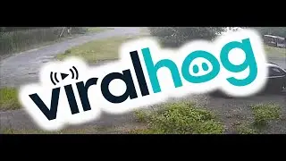 Car Drives Over Lawn To Hit Cement Mailbox || ViralHog