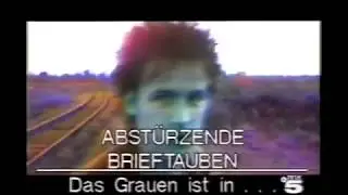 Abstürzende Brieftauben - Das Grauen ist in deiner Stadt (VIDEO)