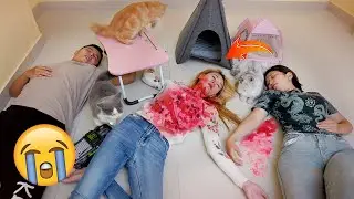 PRANK PURA-PURA MATI DI DEPAN BOO, PAM PAM DAN CIKU KUCING!! TERNYATA GINI REAKSINYA!!