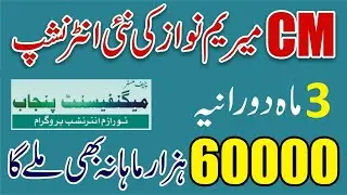 CM Punjab Magnificent Tourism Paid Internship 2025 - Tourism Internship Program - How To Apply