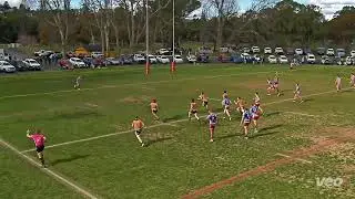 2025 First Grade v Young - Qualifying Final - 31 August 2025, Anzac Park, Gundagai