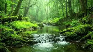 Return to the Green Forest, Peaceful Natural Ambience to Heal the Soul and Forget Everyday Stress