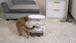 Advwin Smart Wireless Pet Water Fountain No Filter Needed