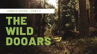 Dooars Part 2 | The Wild Dooars | Lataguri Jungle Safari | Vlog #8