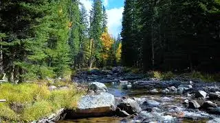 Shell Creek Meditation