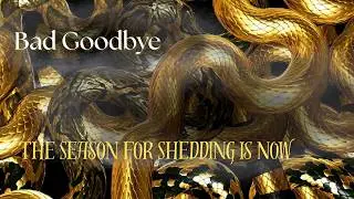 The Season for Shedding is Now | New Song to Help You Let Go