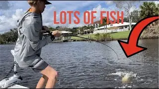 SNOOK AND TARPON FISHING IN THE INDIAN RIVER LAGOON!!!!!