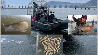 Mississippi River Dam Multiple species Icefishing  |UNDERWATER FOOTAGE + GARMIN LIVESCOPE|