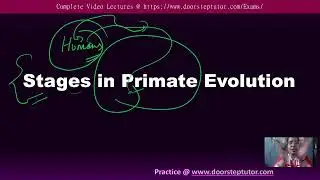 Stages in Primate Evolution | NEET UG Biology - Complete lectures @ doorsteptutor.com