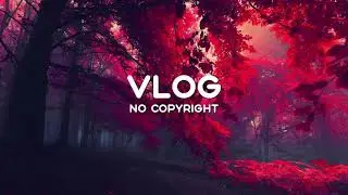 DJ Quads - Cha Cha Cha | VLOG No Copyright