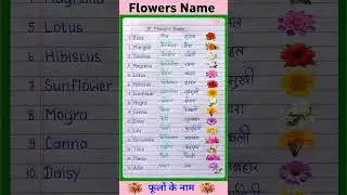 15 Flowers Name in Hindi and English | फूलों के नाम | Flowers Name | phoolon ke naam #shorts