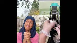 🤣👌👌👌2025 pov Must-Watch Crazy Clips Compilation #humor #fypシ #pov #fyp #foryou #funny 😍😜