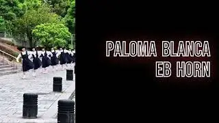 Paloma Blanca Eb Horn