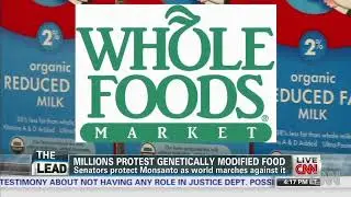 GMO crops and Monsanto Company