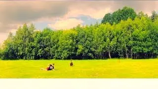fj&auml;rilseffekten - Dansa som en idiot (lyric video)