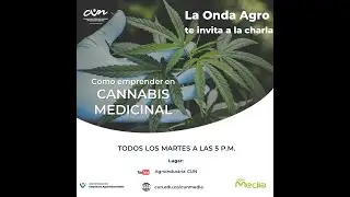 COMO EMPRENDER EN CANNABIS MEDICINAL