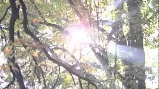 ТУРЧЬЯНСКИЙ  КУРОРТ