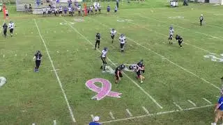 Apple Springs highlights 2018