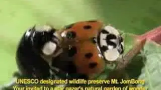 Environment special