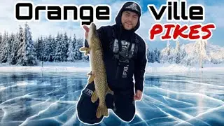Orangeville Island Lake Pikes * The Last Outting Of The Winter Season *