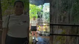 Tropical Greenhouse inside MUSE, Science Museum in Trento, Italy 🇮🇹 #greenhouse #muse #Trentoitaly 