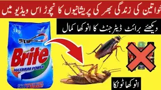 cockroach ko marne ka tarika | lal baig khatam karne ka tarika | how to kill cockroaches in kitchen