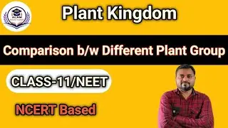 Comparison between Different Plant Group CLASS-11/NEET | Characteristics of Plants NCERT