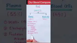 our Blood component۔ Blood composition (plasma) and (Blood cells) @KipsAcadmey934