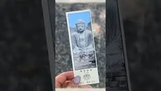 History to Ramen: Kamakura & Yokohama Day Trips!