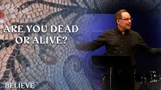 Are You Dead or Alive?// Dan Allen