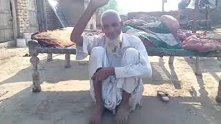 Pakistan Bully Dog Feeding Video Healthy Diet Digestive System Big Size Bully Kutty