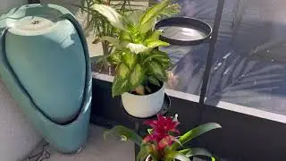 Bamworld Tall Plant Stand Indoor Outdoor &ndash; 4 Tier Heavy Duty Corner Metal Flower Pot Stands